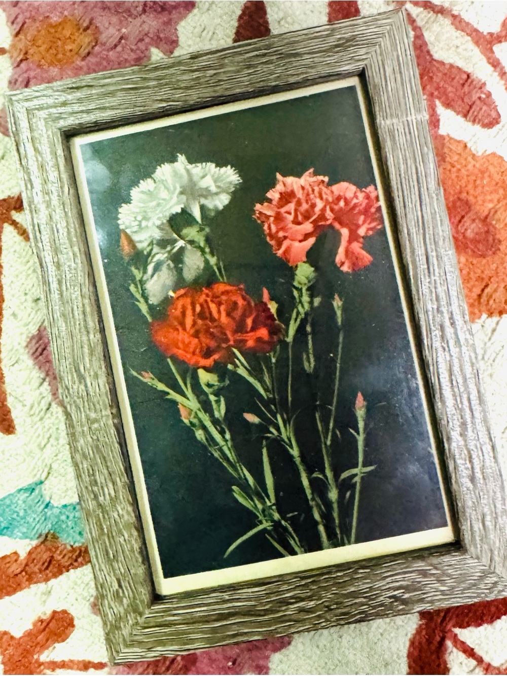 Framed Carnation Floral Print - Red, Pink, White
